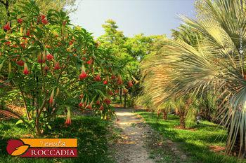 Landhuis Roccadia *